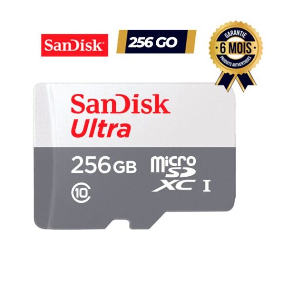 Carte mémoire SanDisk Ultra 256 Go Class 10 microSDXC UHS-I Jusqu'à 100 Mo/s